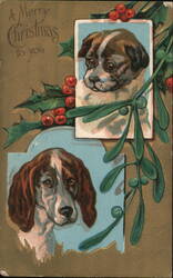 Merry Christmas Dogs with Holly and Mistletoe Postcard