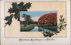 Christmas Greetings from Florida, Landscape with Palm Trees Postcard
