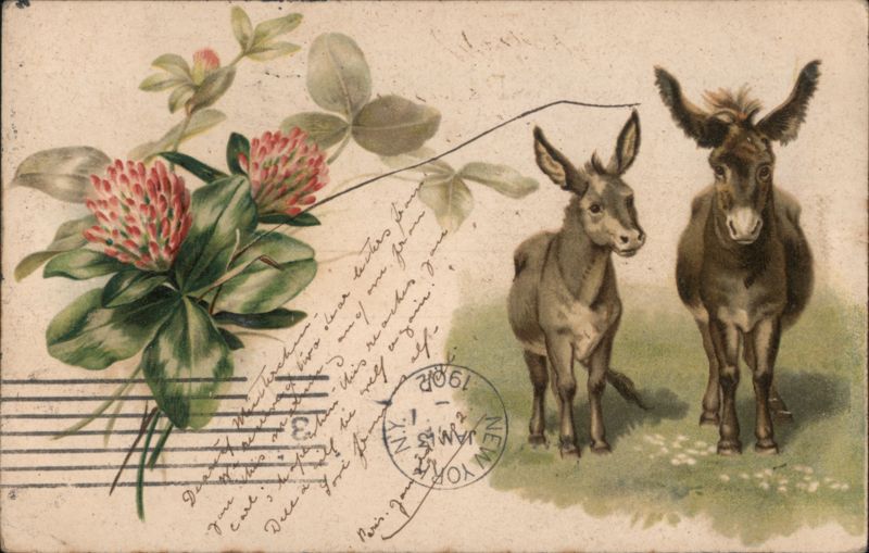 Two Donkeys and Red Clover Flowers