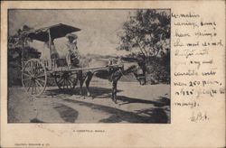 Carretela Horse-Drawn Carriage, Manila Postcard