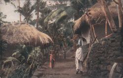 Village Scene, Ceylon Postcard