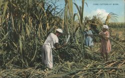 Cane Cutters at Work, Jamaica Postcard