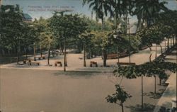 Public Garden Section, Puntarenas Postcard