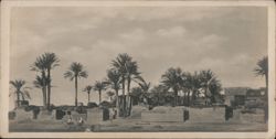 Memphis Village, Cairo Postcard