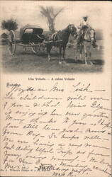 Cuban Volante Horse-Drawn Carriage, Havana Postcard