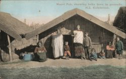 Maori Pah, N.Z. Exhibition Postcard