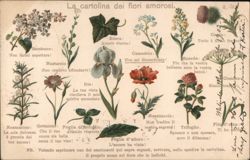 La Cartolina dei Fiori Amorosi (Language of Flowers) Postcard