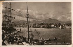 Palermo, Italy - Sailboats in Port Postcard