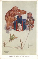 Gran'Pop Goes to the Dogs, Chimpanzees Photographing Dog Postcard