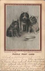 Three Kittens Around a Bowl, Puzzle Post Card Postcard