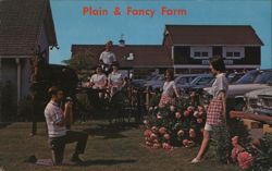 Plain & Fancy Farm, Bird-in-Hand, PA Postcard
