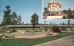 Motel Jesup, GA, Pool and Sign Postcard
