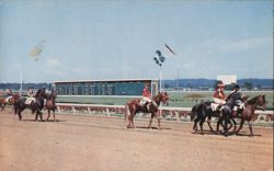 Randall Park Horse Racing, Cleveland OH Postcard