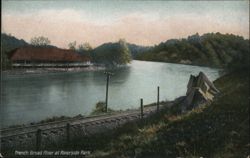 French Broad River at Riverside Park Postcard