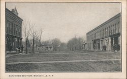 Business Section, Mannsville, NY Postcard