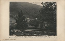 Scene at Ideal Park, Mount Pleasant, NY Postcard