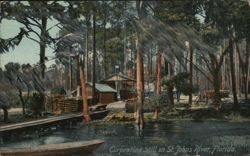 Turpentine Still on St. Johns River, Florida Postcard