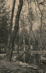 Back Park, Clifton Springs, NY Postcard
