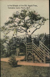 In the Shade of the Old Apple Tree, Canobie Lake Park Postcard
