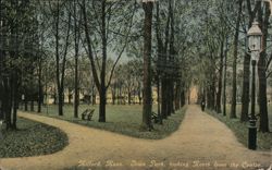 Milford, MA - Town Park, Looking North from Center Postcard