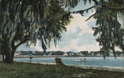Orlando, FL - Lake Eola View Postcard
