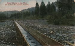 Placer Mining in the West, Sluice Box Postcard