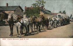 Prairie Schooner Ready to Start Postcard