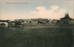 Tallman's Dairy, Walla Walla, WA Postcard