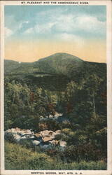 Mt. Pleasant and the Ammonoosuc River, Bretton Woods Postcard