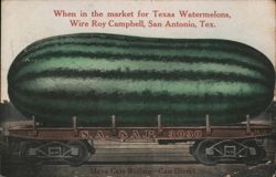 Giant Texas Watermelon on Railroad Car, San Antonio Postcard