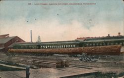 Long Timber (125 Feet), Bellingham, WA Postcard