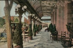 Menger Colonnade, San Antonio Postcard