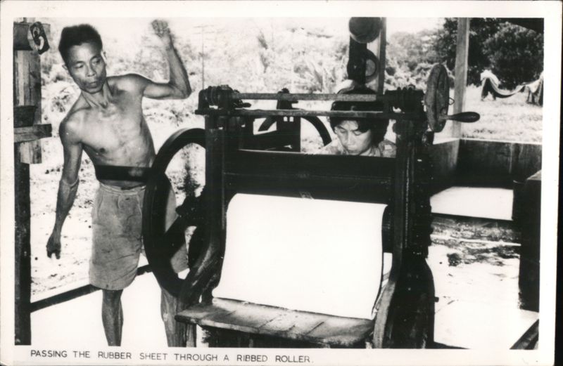 Passing Rubber Sheet Through Ribbed Roller Malaysia