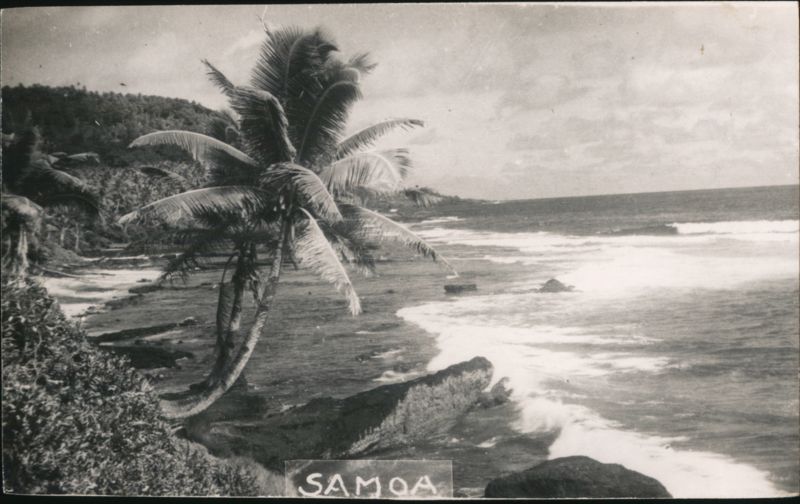 Samoa Coastline View with Palm Tree South Pacific
