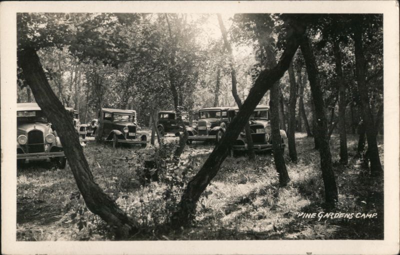 Pine Gardens Camp, Vintage Cars Parked in Woods Transportation