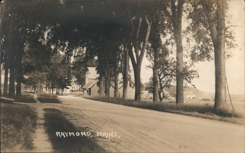 Tree-Lined Road, Raymond, ME Maine