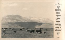 Hunewill Circle H Guest Ranch, Bridgeport, CA Postcard