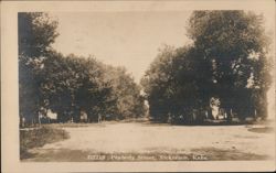 Peabody Street, Nickerson, KS Postcard