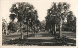 Entrance to Silver Springs, Florida Postcard