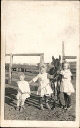 Three Children Posing with Donkey Foal Postcard