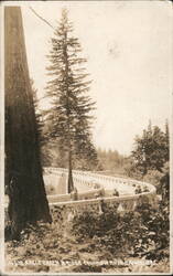 Eagle Creek Bridge, Columbia River Highway, OR Postcard