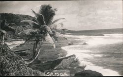 Samoa Coastline View with Palm Tree Postcard