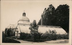 The Conservatory, Berkeley Botanical Garden Postcard