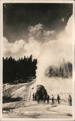 Lone Star Geyser, Yellowstone Postcard