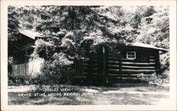Lorelei View, Gryce-Stine Lodge, Bemidji MN Postcard