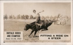 Fitting a Ride on a Steer, Rodeo and Stampede 1927 Postcard