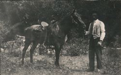 Black Man Holding Bridled and Saddled Horse Postcard