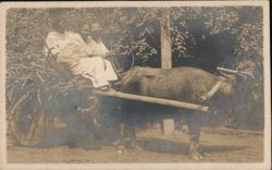 Carabao Cart with Two People Postcard