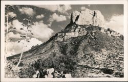 Casa Grande, Big Bend National Park Postcard