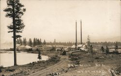 Saw Mill Etc., Westwood, CA Postcard